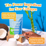 GOLDE Vanilla Cream Collagen support in a smoothie
