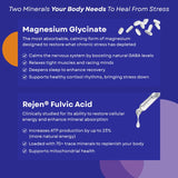 GoldenRoot Magnesium Glycinate 125mg supplement back view