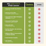 GoodlifePick Pure Himalayan Shilajit capsules ingredients list