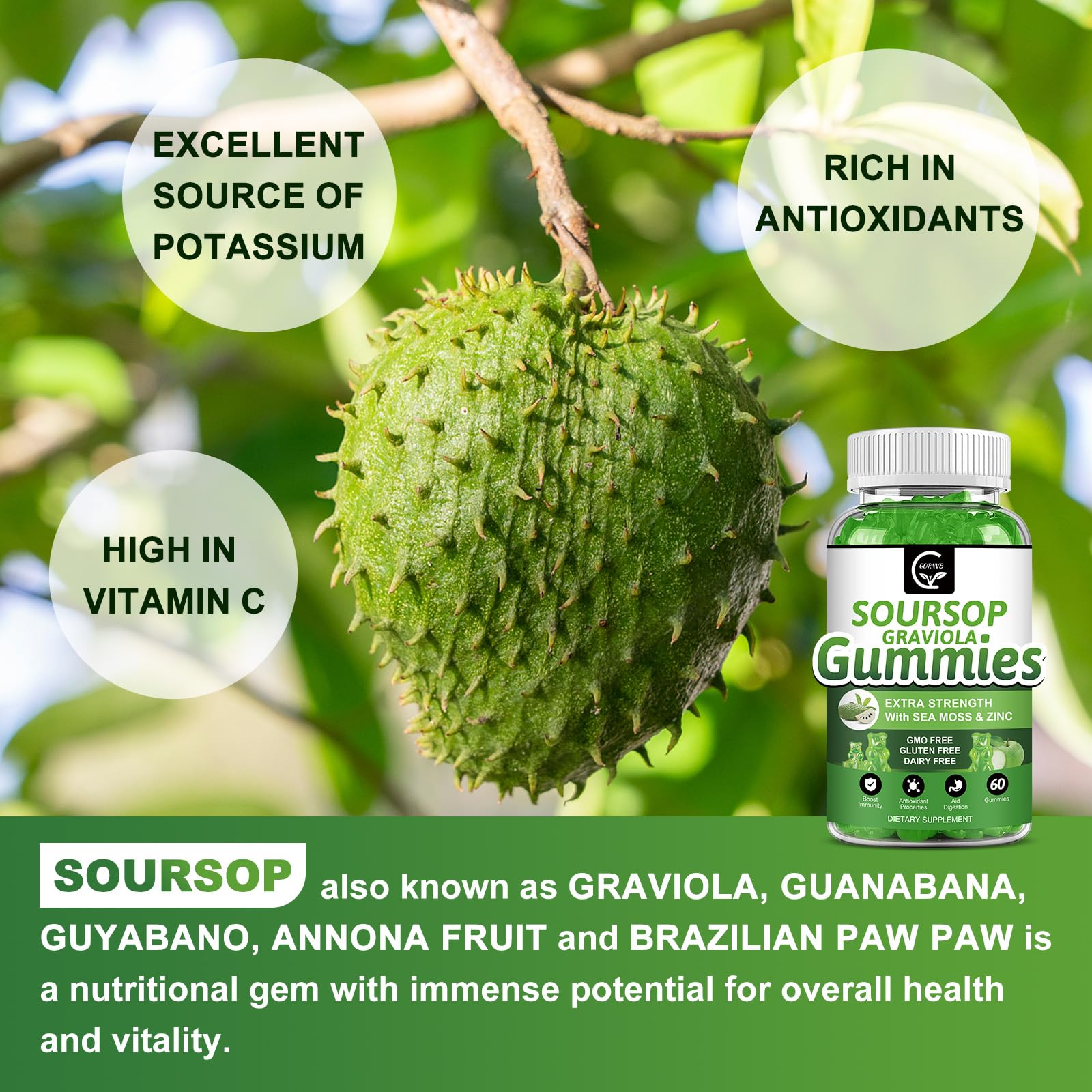 GORNVB Soursop Graviola Gummies in a bowl for serving