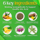 Gout and You NutriGout Milk Thistle Supplement ingredients close-up