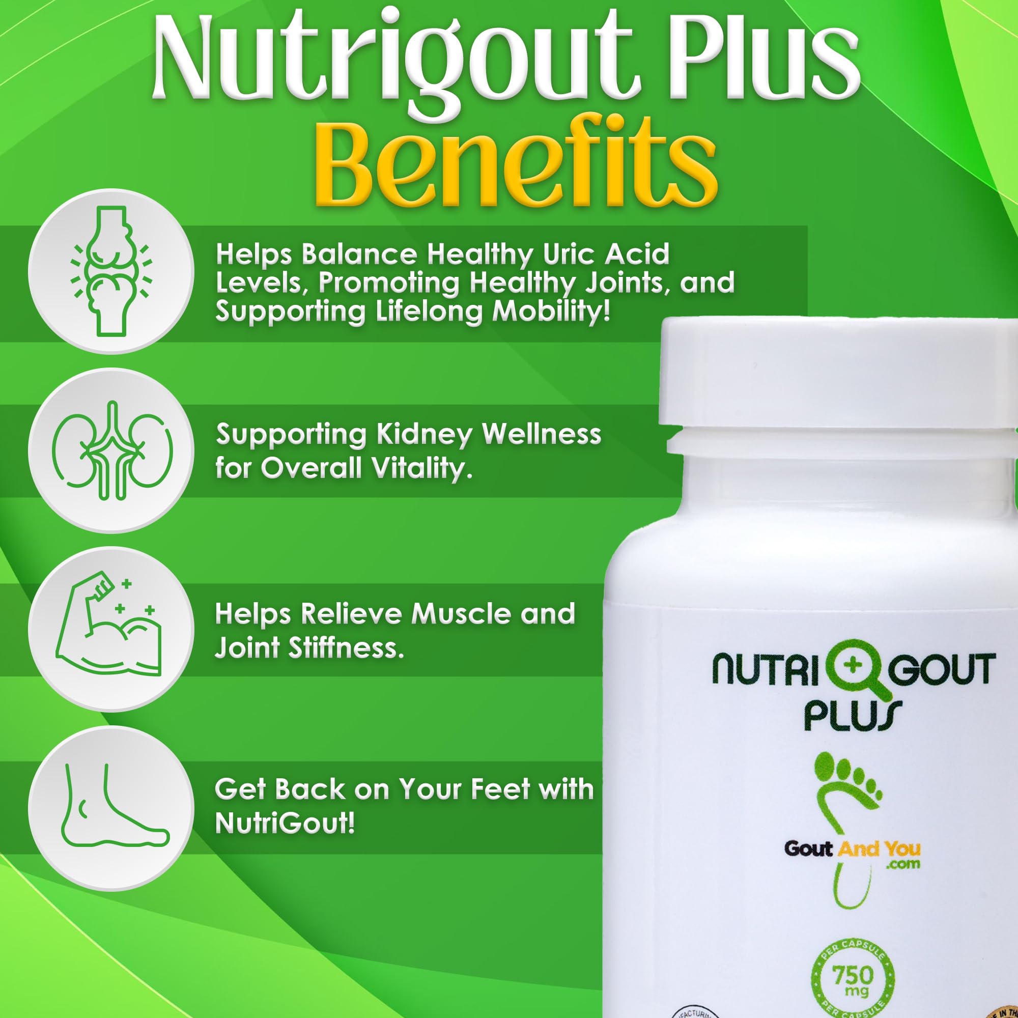 Gout and You NutriGout Plus supplement capsules close-up