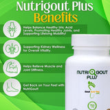 Gout and You NutriGout Plus supplement capsules close-up