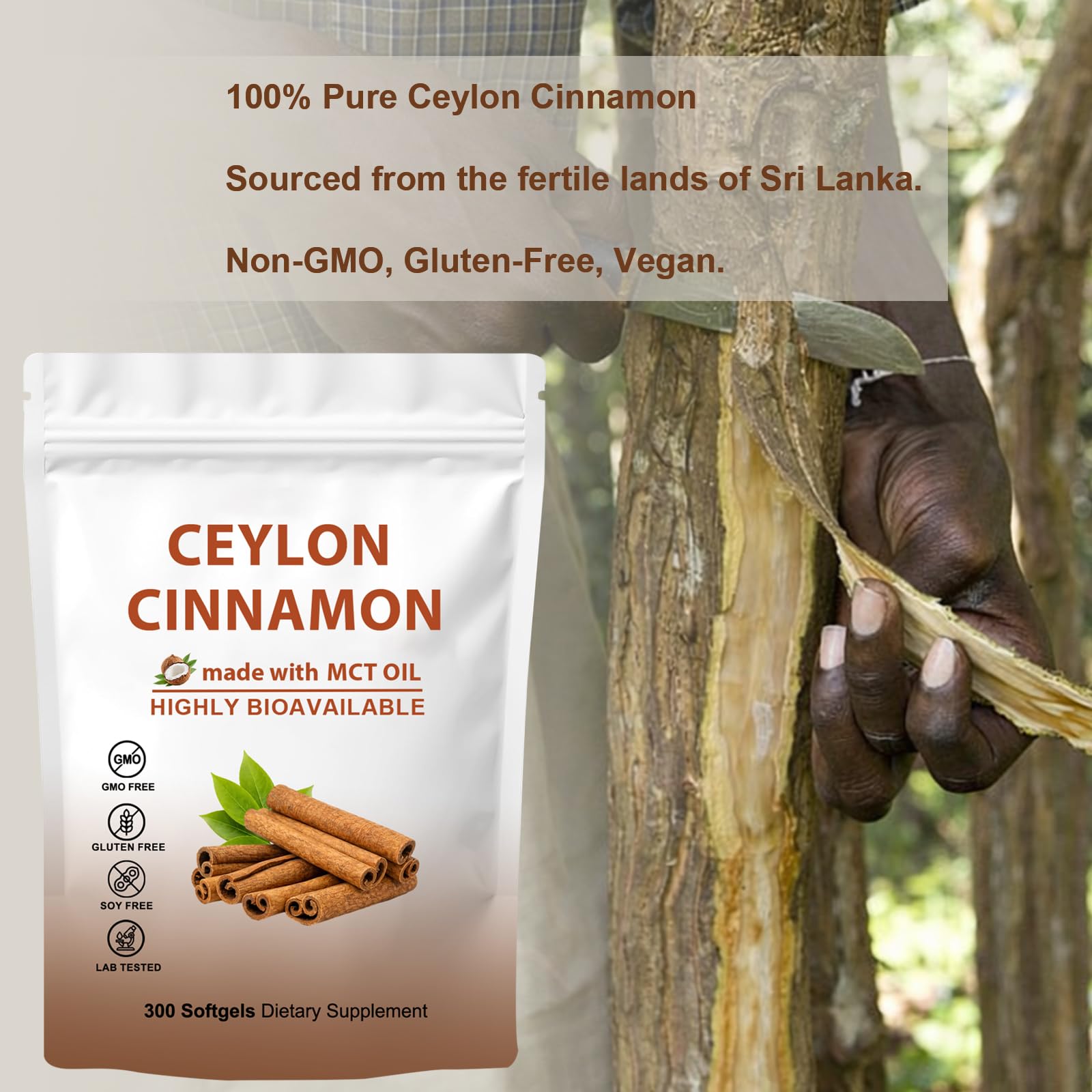 GraviGlow Ceylon Cinnamon Softgels with MCT Oil on a wooden table