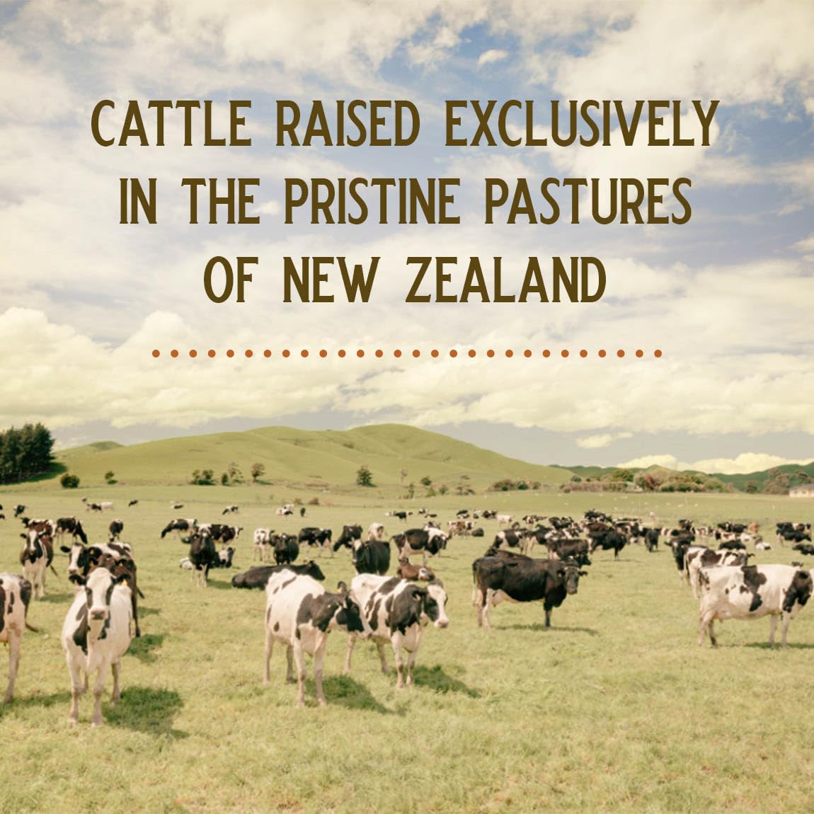 GRAZIN HEALTH Grass Fed Bovine Collagen Powder nutritional information