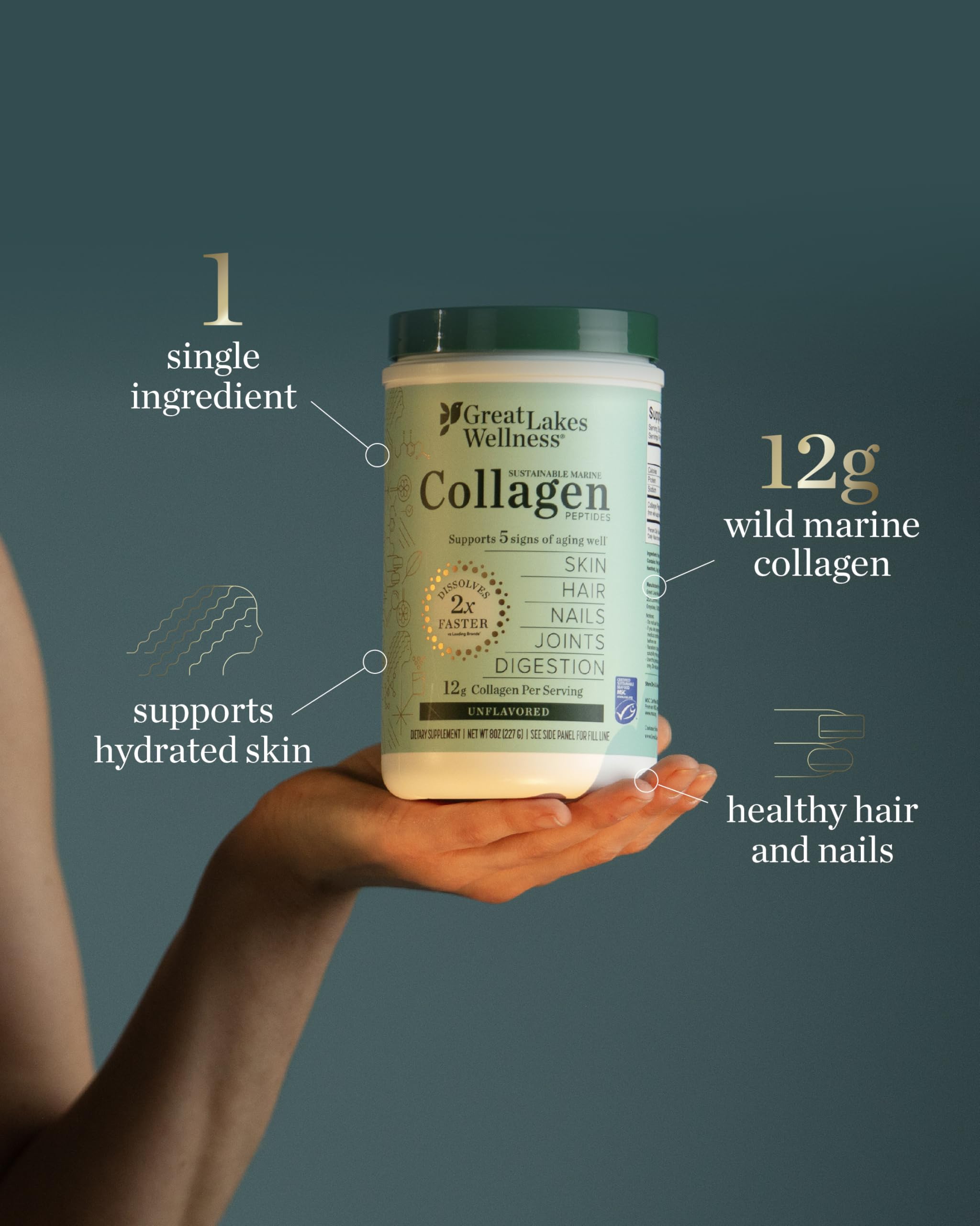 Great Lakes Wellness Marine Collagen Powder 454g packaging