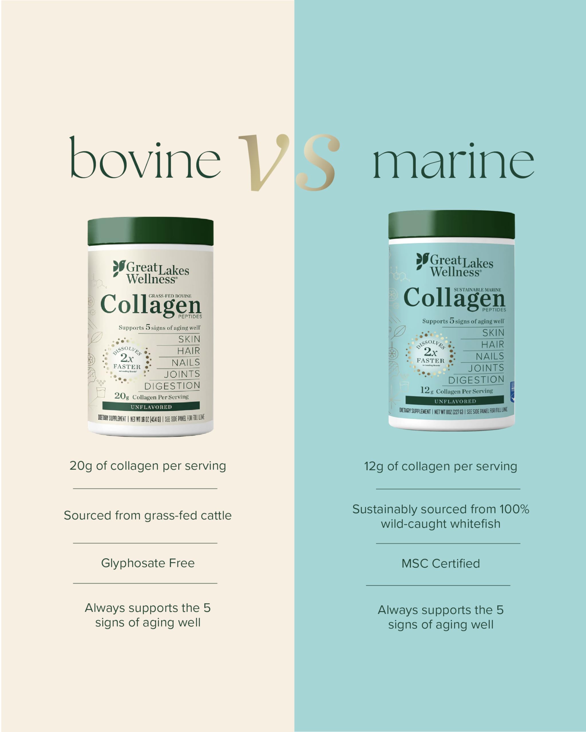 Great Lakes Wellness Marine Collagen Powder 454g scoop and powder