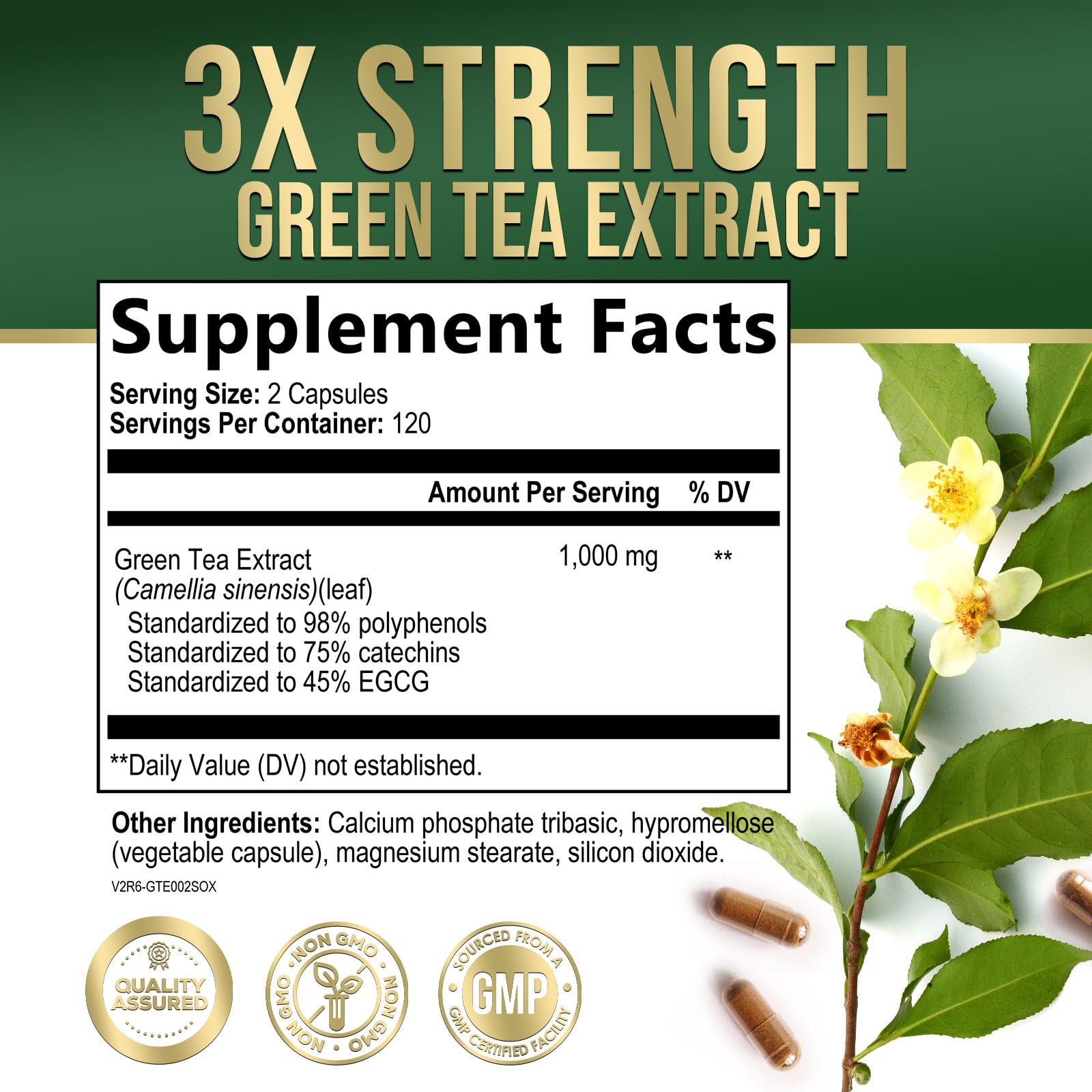 Green Tea Extract capsules close-up