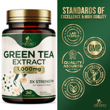 Green Tea Extract capsules in hand for size reference