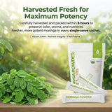 Green Virgin Products Moringa Powder sachet next to a smoothie