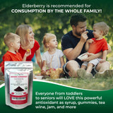 Greenhilltea Elderberry Fruit Tea Blend with fruits