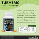 GreenIVe Turmeric Curcumin Complex 1500mg capsules close-up