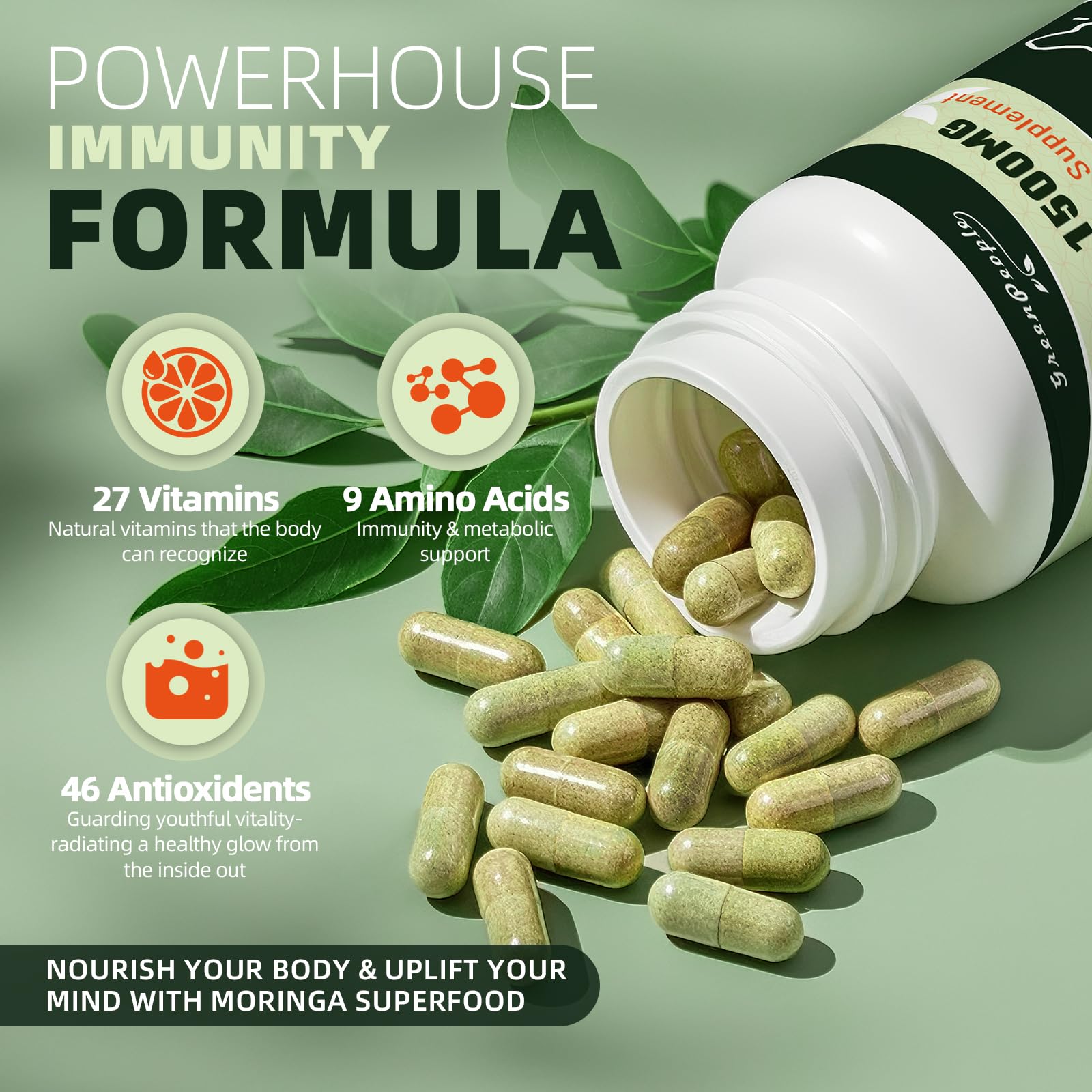 GREENPEOPLE Moringa Capsules packaging with dimensions