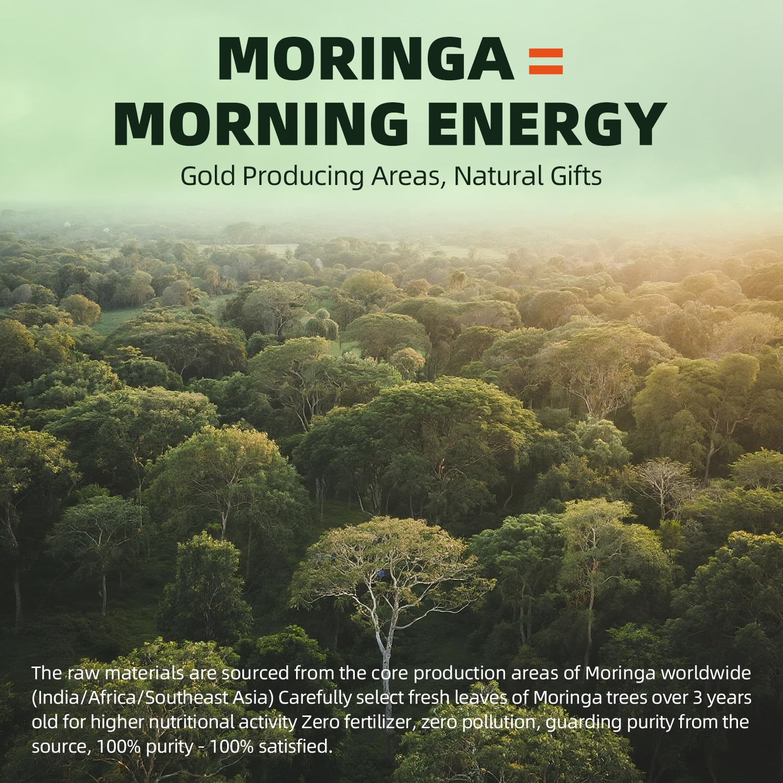GREENPEOPLE Moringa Capsules with a measuring spoon