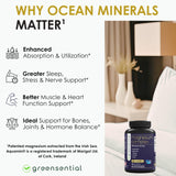 Greensential Magnesium Supplement 500mg capsules in a spoon
