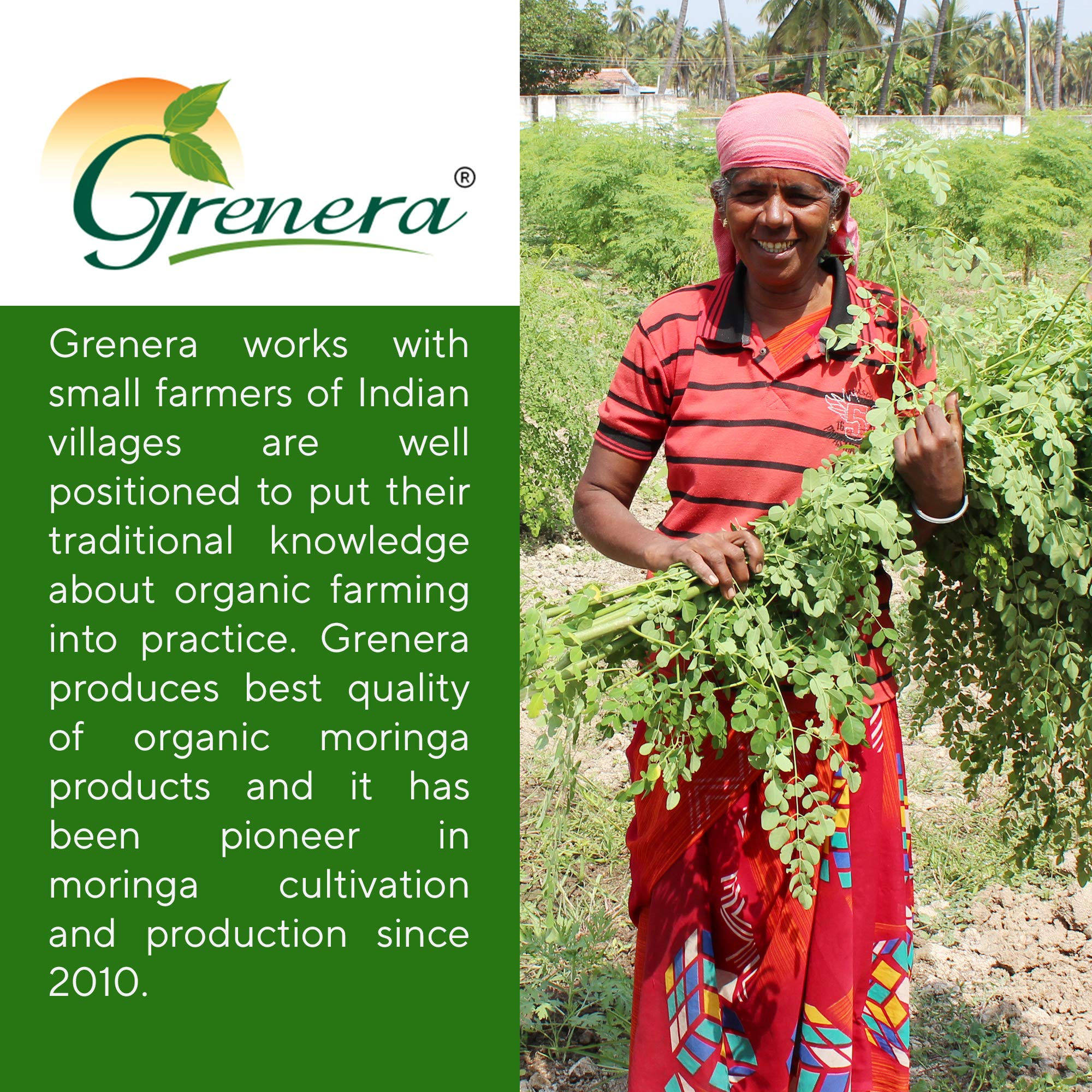 Grenera Organic Moringa Tablets displayed with other supplements