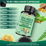 Grevol Sea Moss Capsules close-up of the capsules