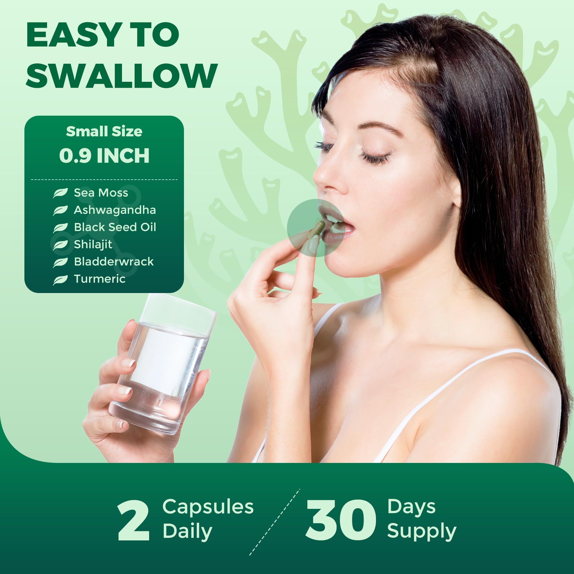 Grevol Sea Moss Capsules with a measuring spoon