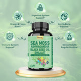 Grevol Sea Moss Capsules with ingredients list