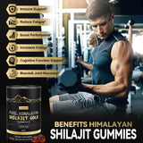 Grevol Shilajit Gummies with Himalayan backdrop