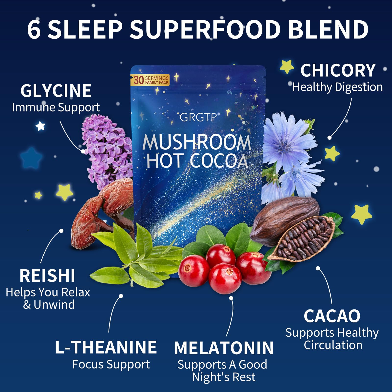 GRGTP Reishi Mushroom Hot Cocoa ingredients close-up