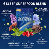 GRGTP Reishi Mushroom Hot Cocoa ingredients close-up