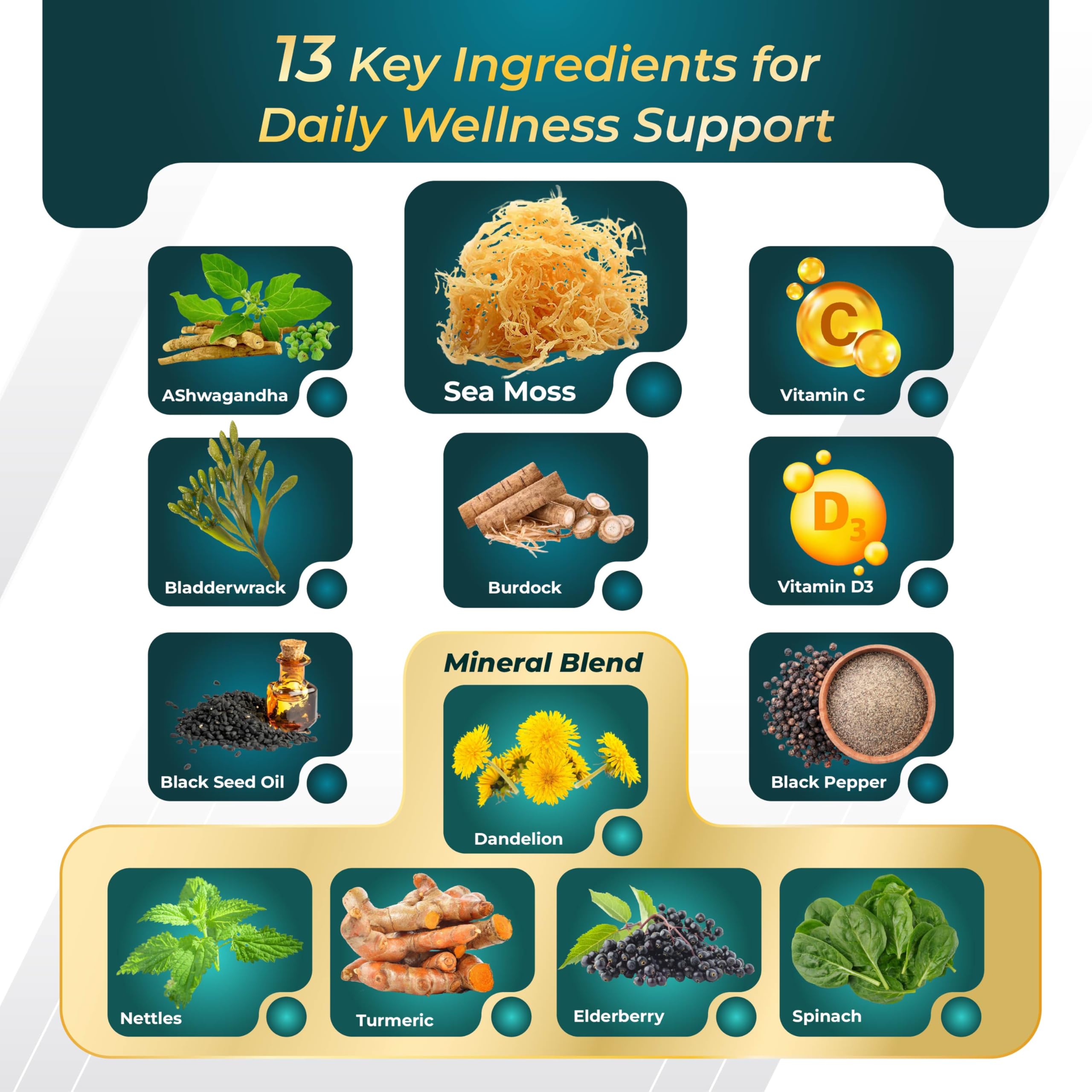 GriMed Sea Moss Capsules ingredients list
