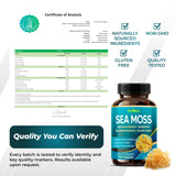 GriMed Sea Moss Capsules with measuring spoon