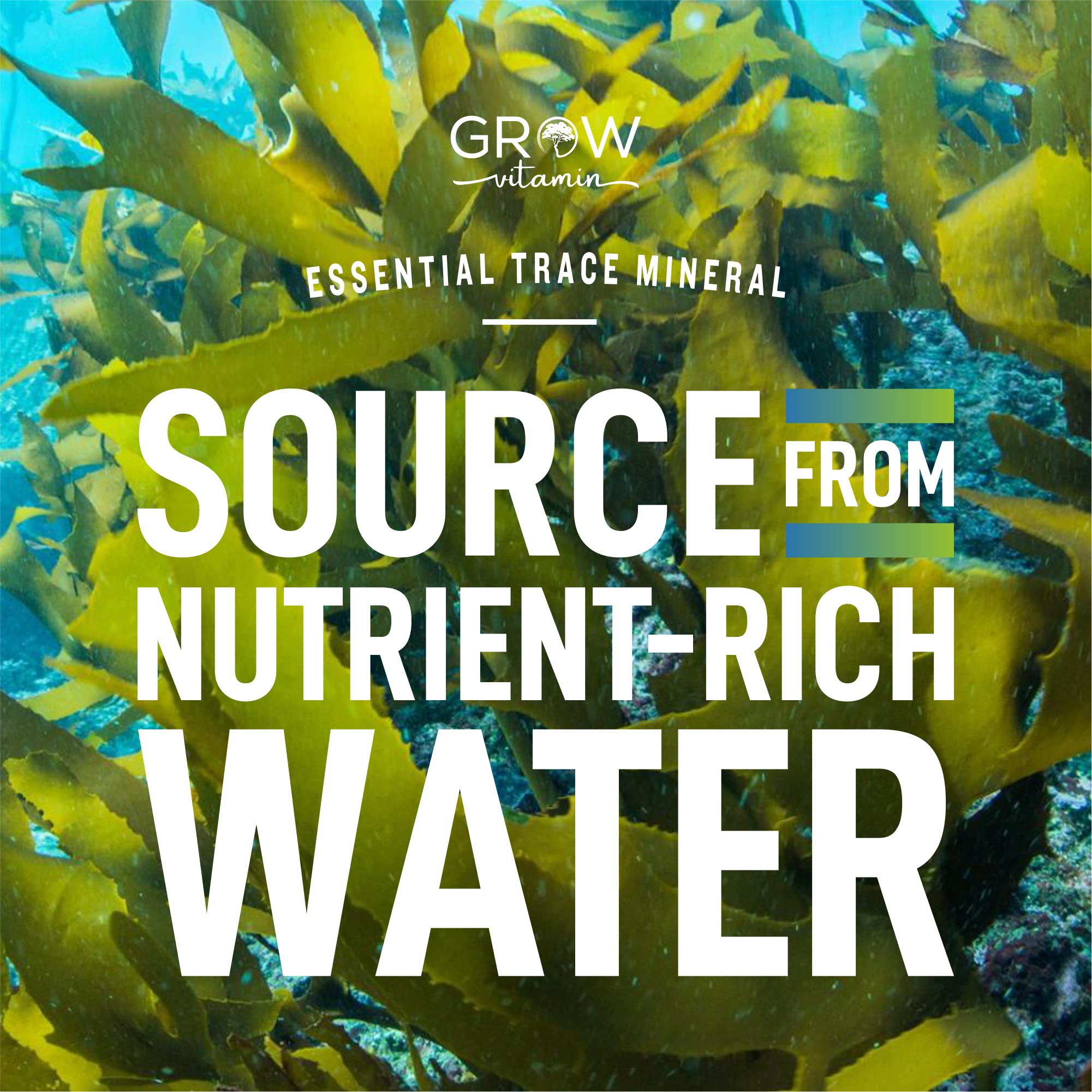 grow vitamin Iodine Supplement packaging details