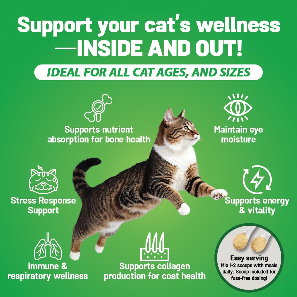 Guardian's Choice L-Lysine Powder for Cats jar with label