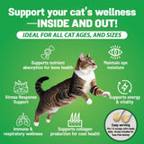 Guardian's Choice L-Lysine Powder for Cats jar with label
