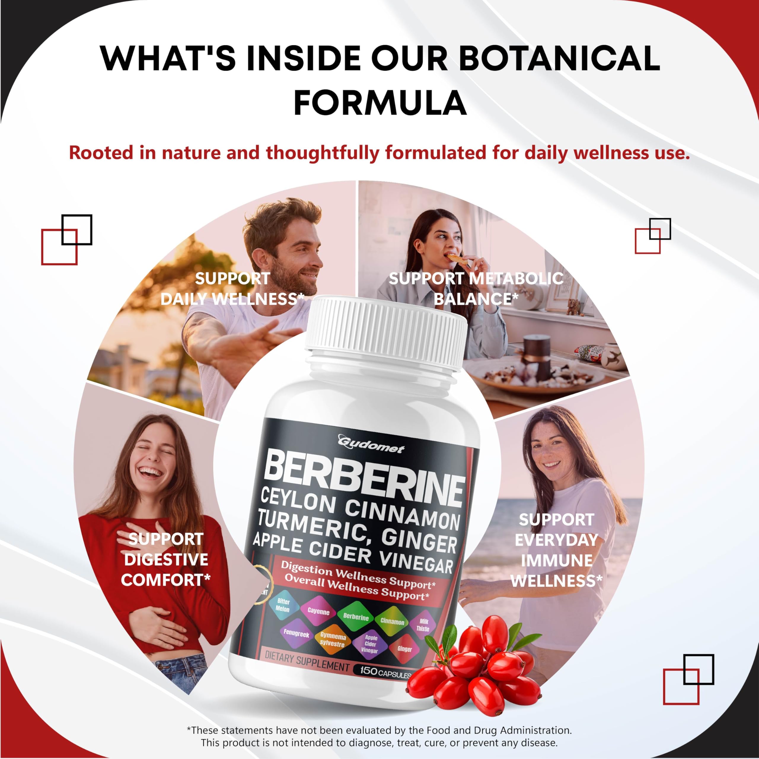 GUDOMET Berberine Supplement back view with ingredient list