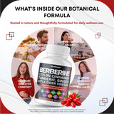 GUDOMET Berberine Supplement back view with ingredient list
