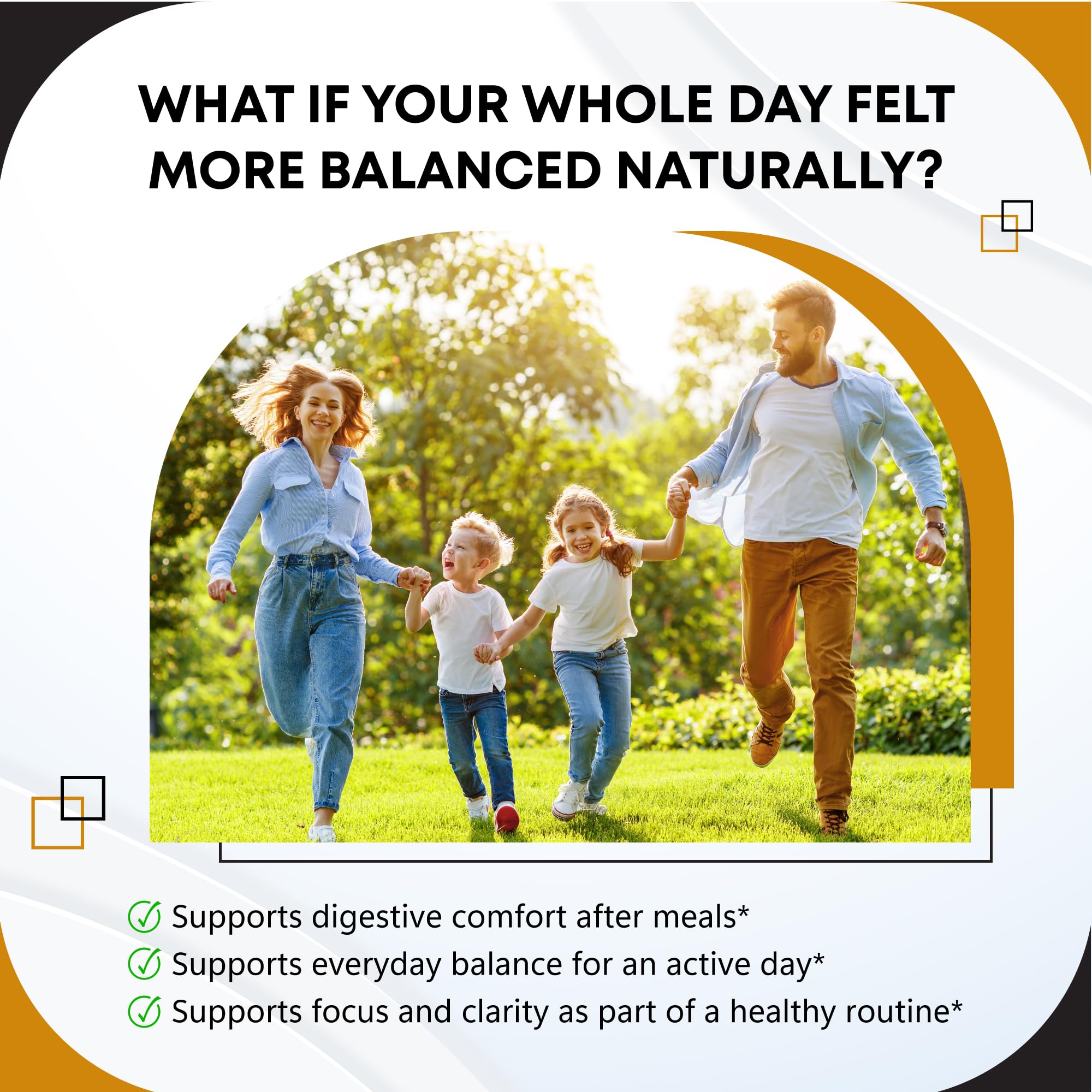 GUDOMET Cinnamon Supplement capsules close-up