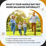 GUDOMET Cinnamon Supplement capsules close-up