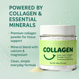 Guliqi Collagen Powder for Gum Repair usage with toothbrush