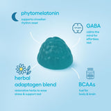 Gummly Jet Lag Gummies in a travel setting