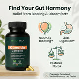 GUTVED Candida Oral Pills bottle with label
