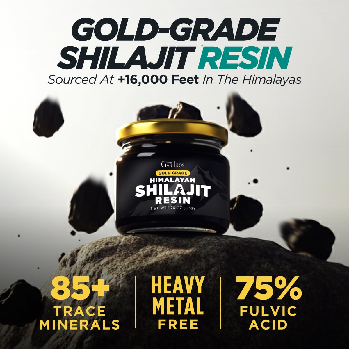 Gya Labs Shilajit Resin 141g close-up