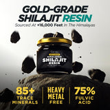 Gya Labs Shilajit Resin 141g close-up
