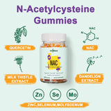 Gyumolics NAC Gummies 8-in-1 Formula back view with ingredient list