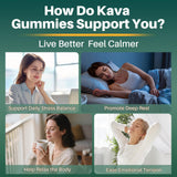 GZ HAOYUAN Kava Kava Gummies with a hand holding the bottle