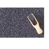 Halaleveryday black seed oil with dropper