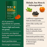 hanachi Alpha Shilajit Gummies 4000mg ingredients list