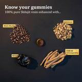 hanachi Pure Himalayan Shilajit Gold Gummy close-up of gummies