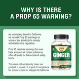Happi Mi Nutrition Ginger Capsules in a hand for size comparison