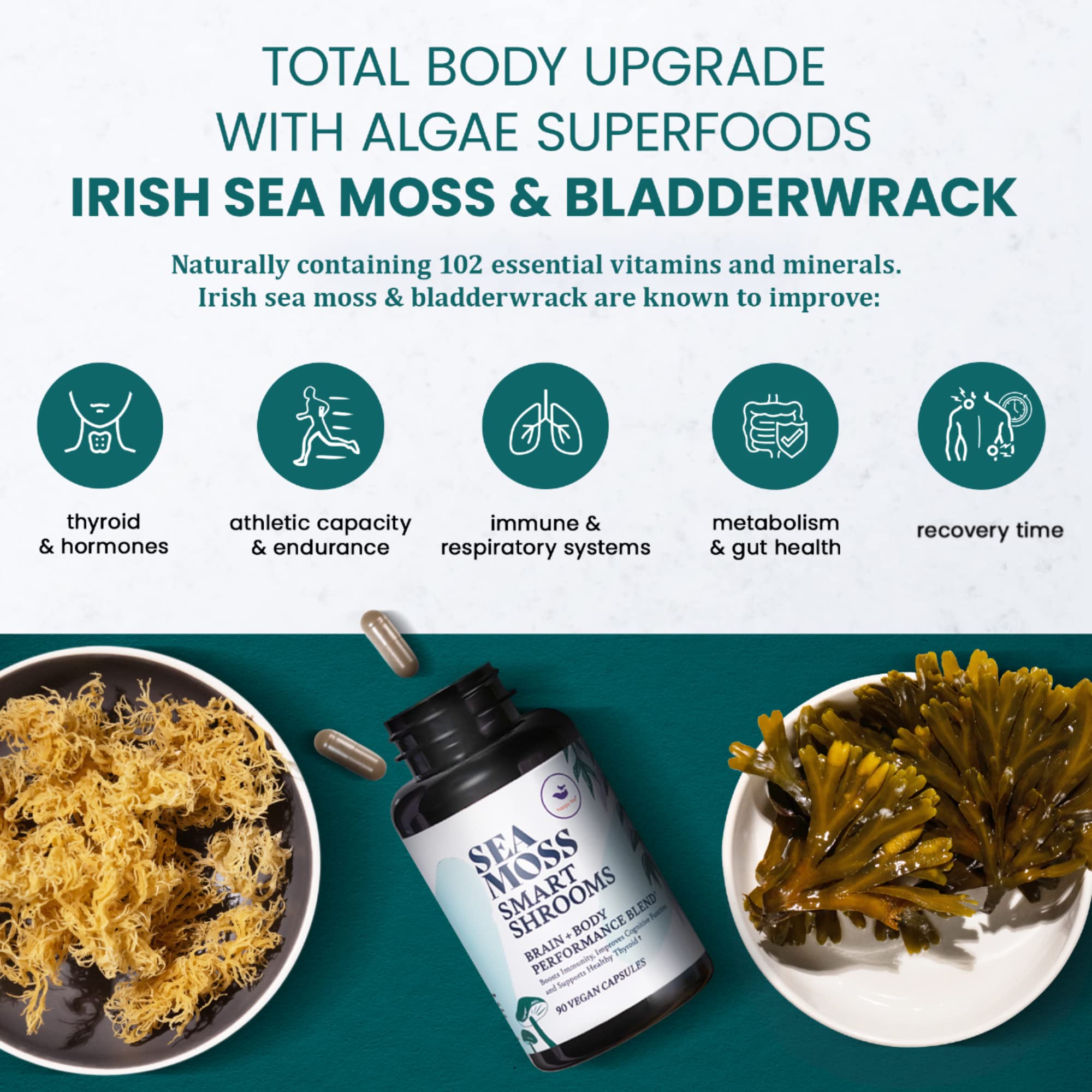 HAPPY FOX Blended Vitamin & Mineral Supplement ingredients list