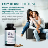 HAPPY FOX Blended Vitamin & Mineral Supplement lifestyle scene