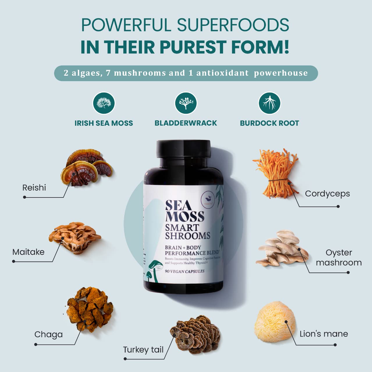 HAPPY FOX Blended Vitamin & Mineral Supplement side view