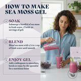 HAPPY FOX Organic Purple Sea Moss 100g in a bowl